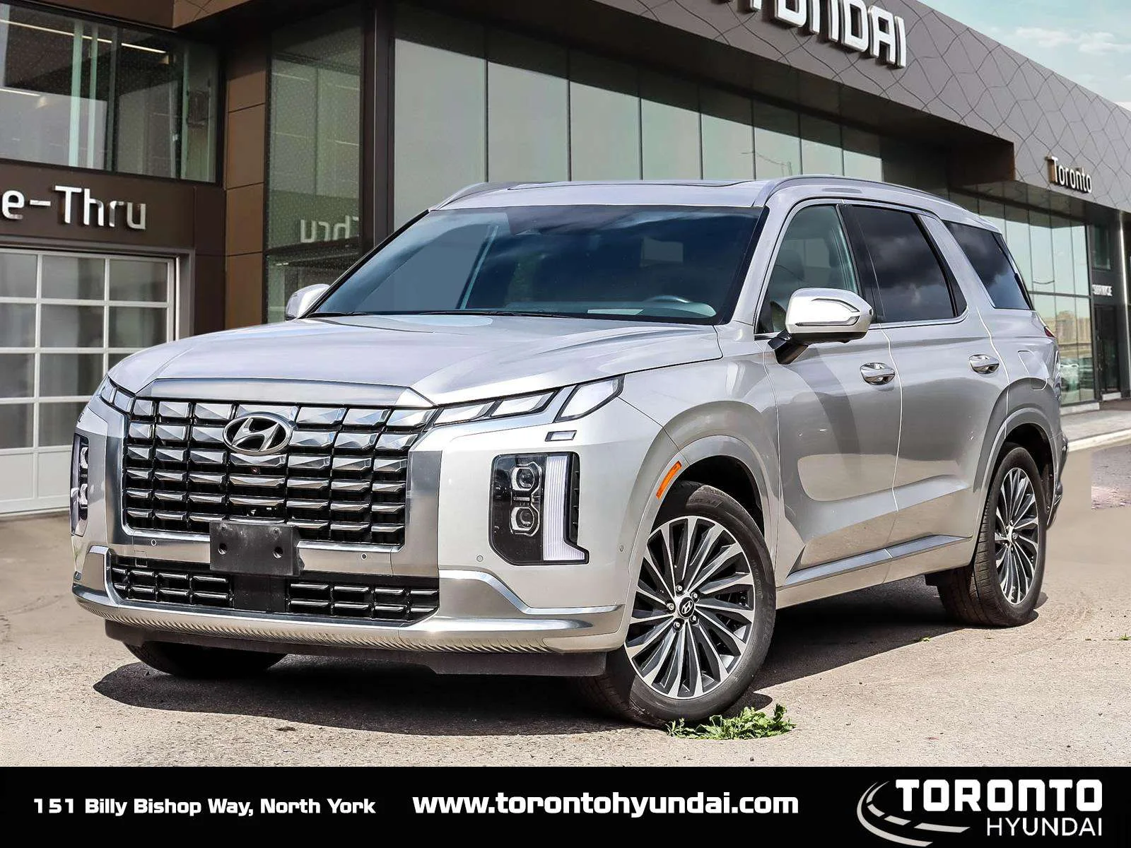 2025 Hyundai Palisade ULTIMATE CALLIGRAPHY, photo 1 of 34